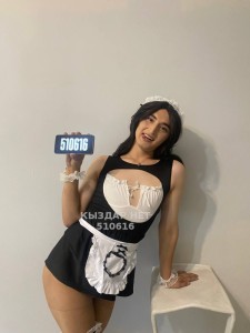 Транс Алматы Транс№510616 Ailin-05 Фотография №3820756